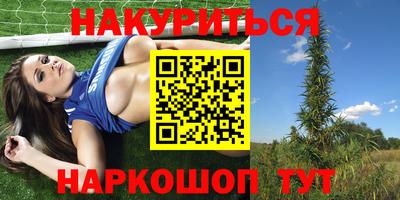 СК Лесосибирск