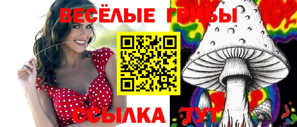 Галлюциногенные грибы Psilocybine cubensis  Вход с VPN  Псилоцибиновые грибы MAGIC MUSHROOMS  Великий Устюг 