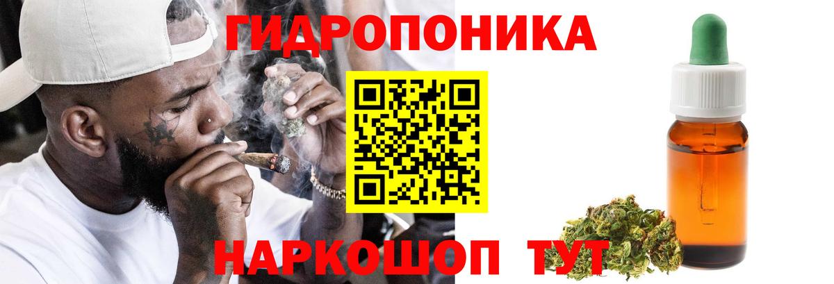 Шишки марихуана марихуана Великий Устюг